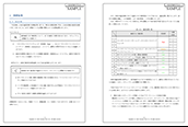 修正確認診断報告書